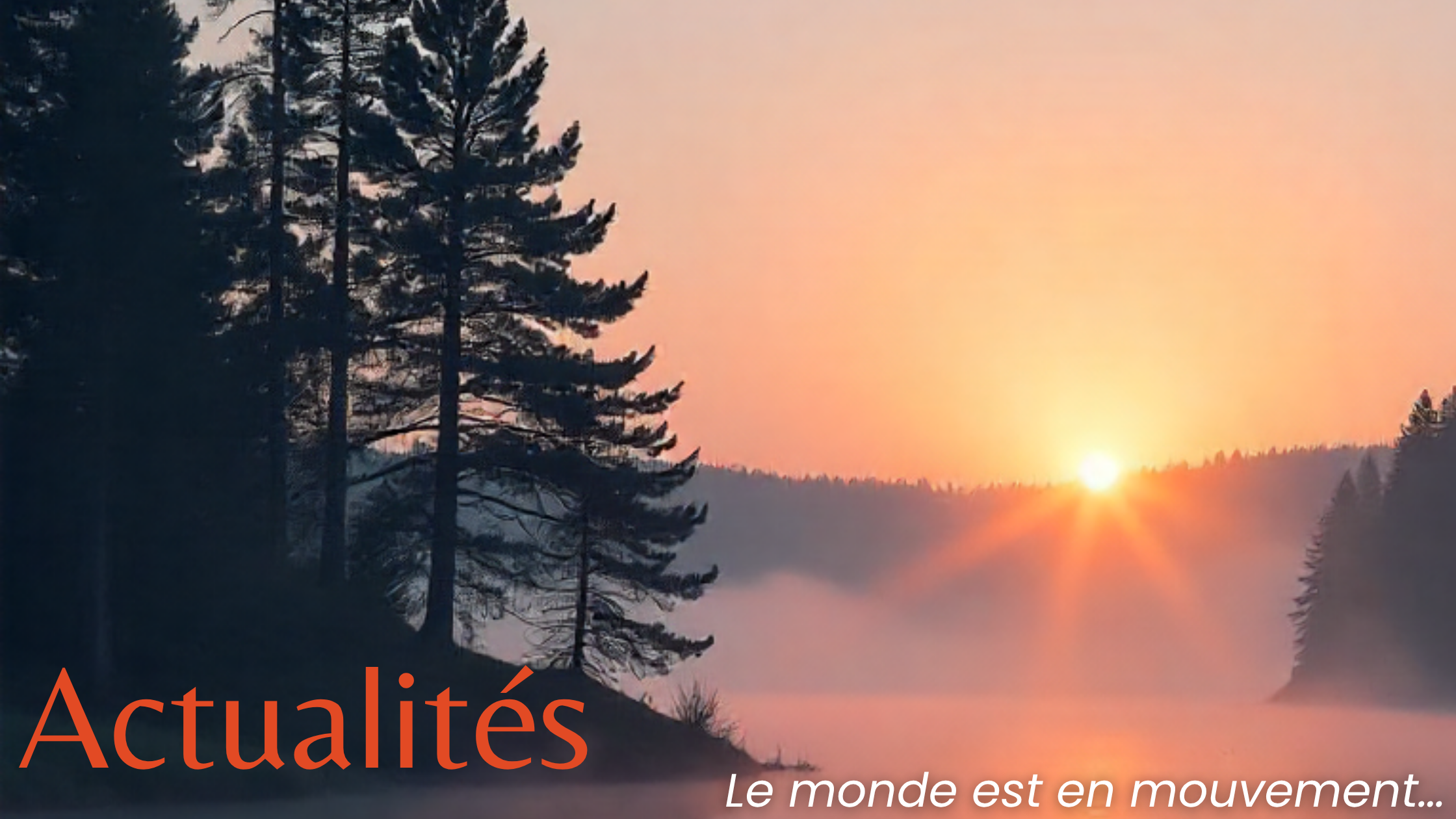 actualite